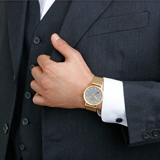 Classic, 36 mm, Good gray goldene Edelstahluhr, A660.30314.80SBM, Person mit Armbanduhr am Handgelenk